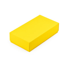 Dzeltena divdaļīga kartona dāvanu kaste | 200x110x50 mm | Superbox