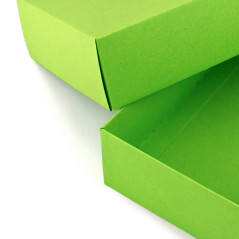 Gaiši zaļa divu gabalu kartona dāvanu kaste | 200x110x50 mm | Superbox