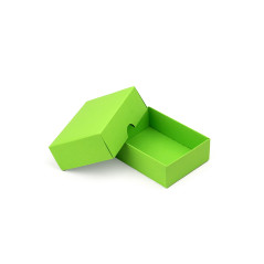 Light Green Color 2-PC Small Rectangle Gift Box