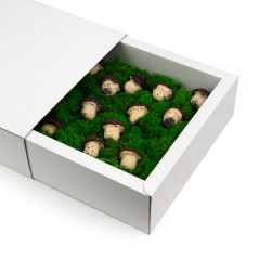 Balta dāvanu kastīte ar lielām piedurknēm