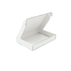 White Retail Box for Electronics Closed