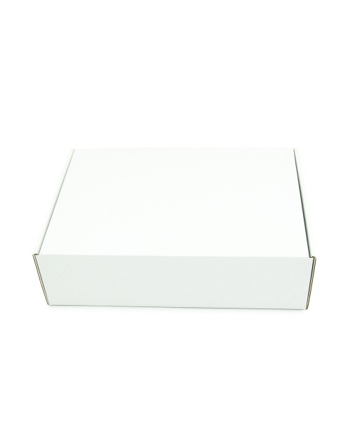 Balta A4 formato dėžutė be langelio