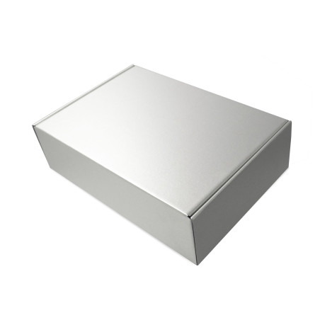 Metallic Silver Box