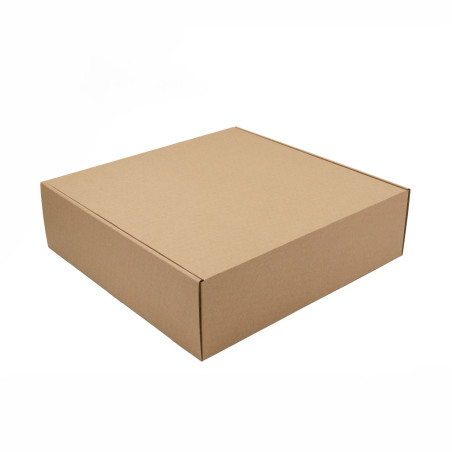 Large Shipping Box