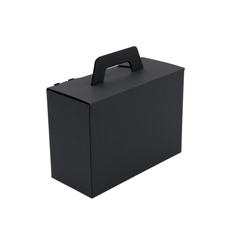 Black Small Suitcase