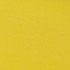 Yellow Silk Paper, No. 11