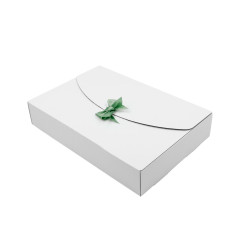 White Large Box with Ribbon Closure