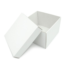 White Square Medium Size Gift Box with a Lid