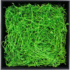 Rigid Green Shredded Paper - 2 mm, 1 kg