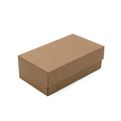 Brown Small Shipping Box