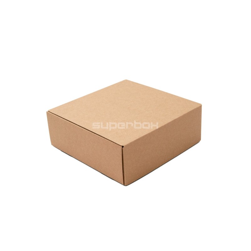 Square 6 cm Deep Quick Folding Box for Shipping