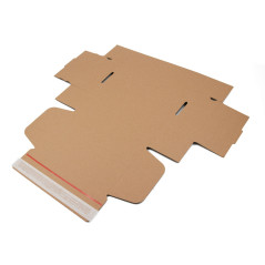 Brown box with tear-off adhesive tape made of corrugated cardboard