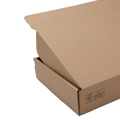 Popular LP size brown box with tear off adhesive tape