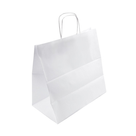 White Large Paper Bag with Twist Paper Handles