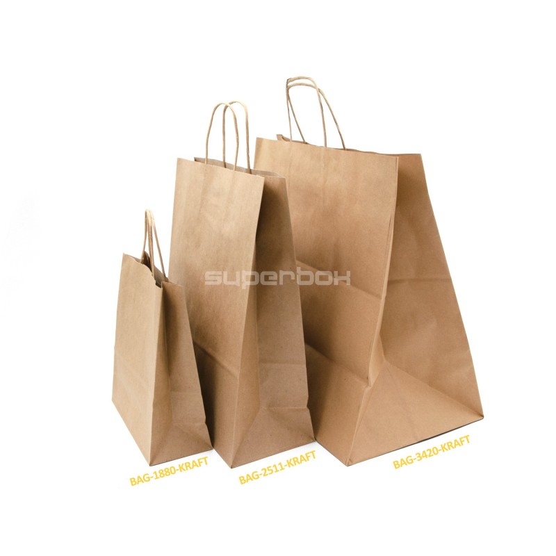 Paper Bag Brown with Twisted Paper Handles, Large