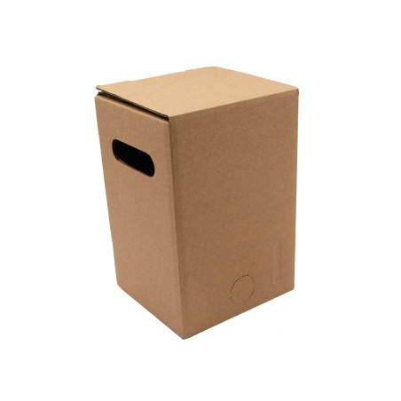 Cardboard Box of Juice Bag, 5 l