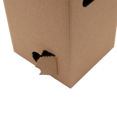 Cardboard Box of Juice Bag, 5 l