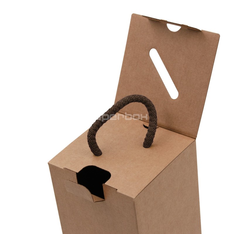 Vertical Brown Box with Handle for Oil Bottle