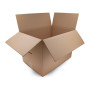 Cardboard Moving Box with Handles