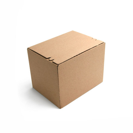 E-commerce Box with Tear-off Strip for Size M Post Terminals