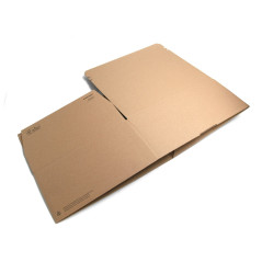 E-commerce Box With Tear-off Adhesive Tape