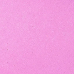 Silk Paper Orchid, No. 161