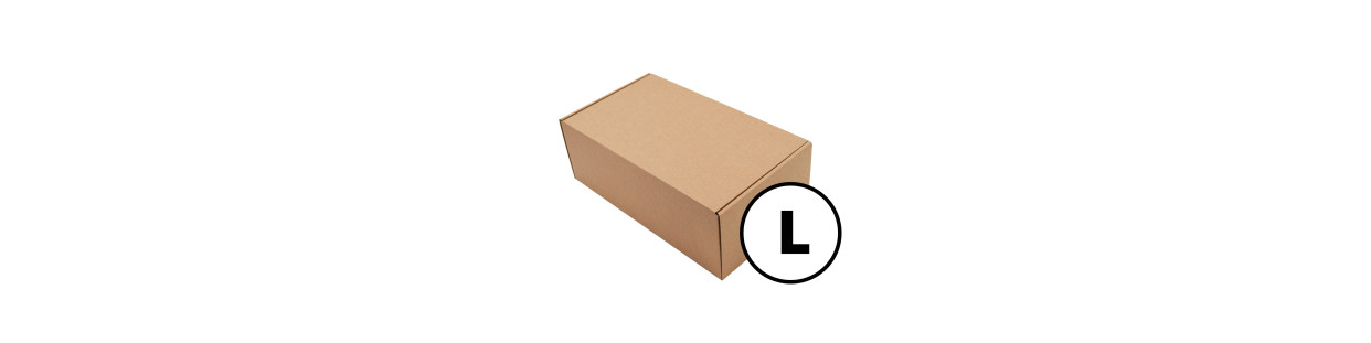 Cardboard Boxes for L Parcel Terminals – Safe Shipping