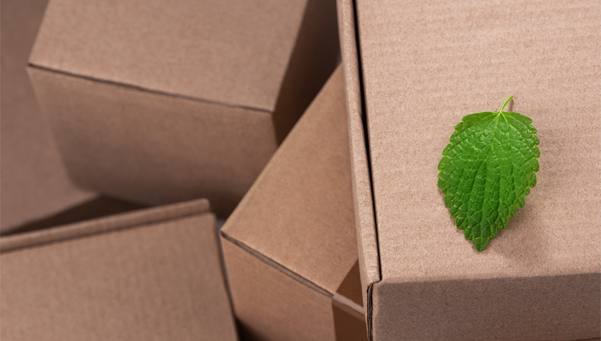What is Eco-friendly Packaging? Part I: Recycling of Packaging